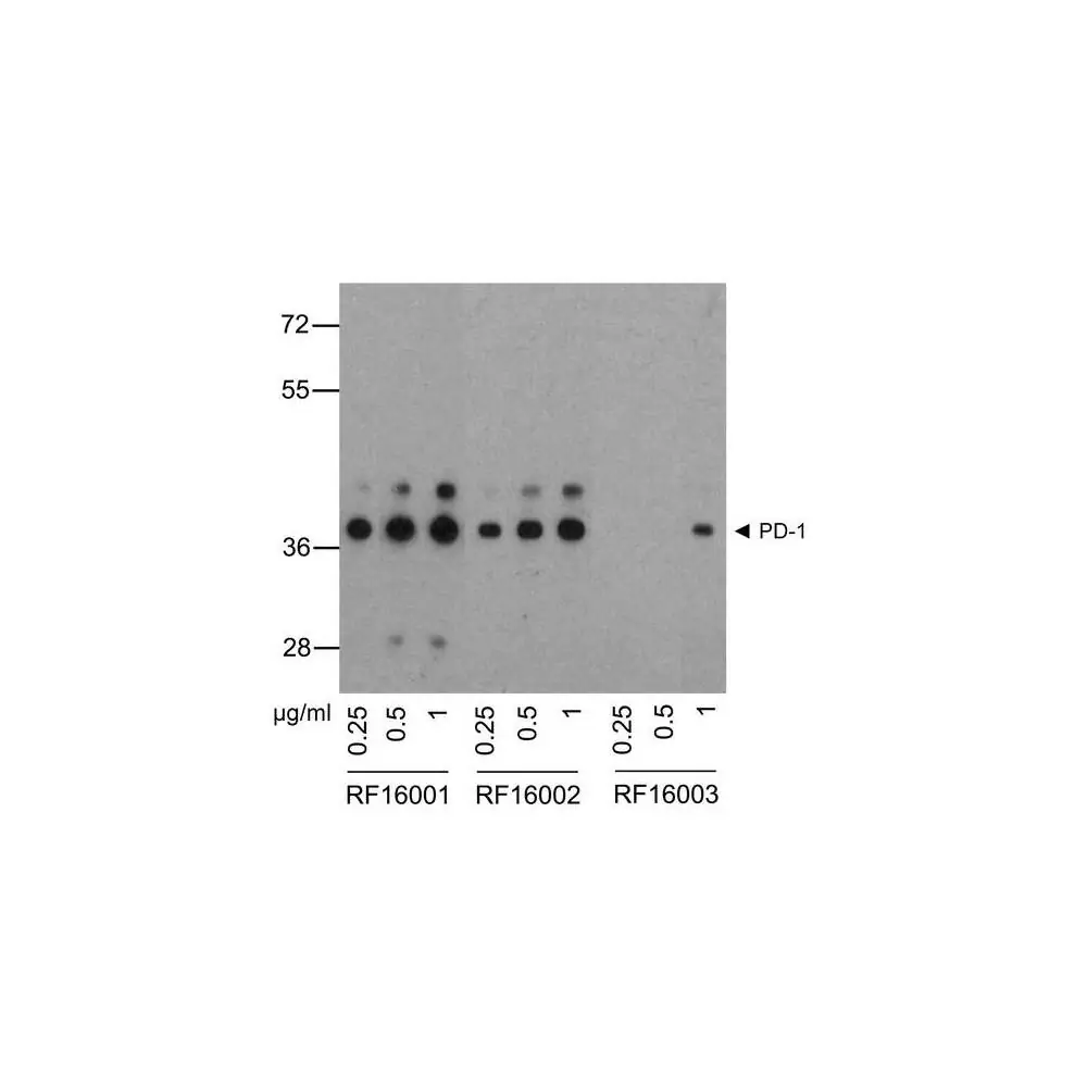 ProSci RF16000 PD1 Detection Set (Risk Free), ProSci, 1 Set/Unit Secondary Image