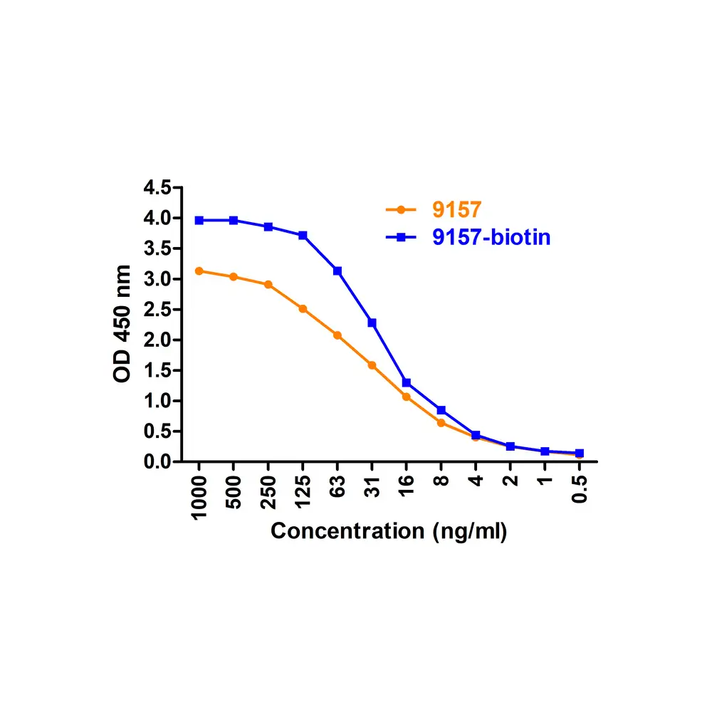 ProSci 9157-biotin SARS-CoV-2 (COVID-19) Membrane Antibody (biotin), ProSci, 0.1 mg/Unit Primary Image