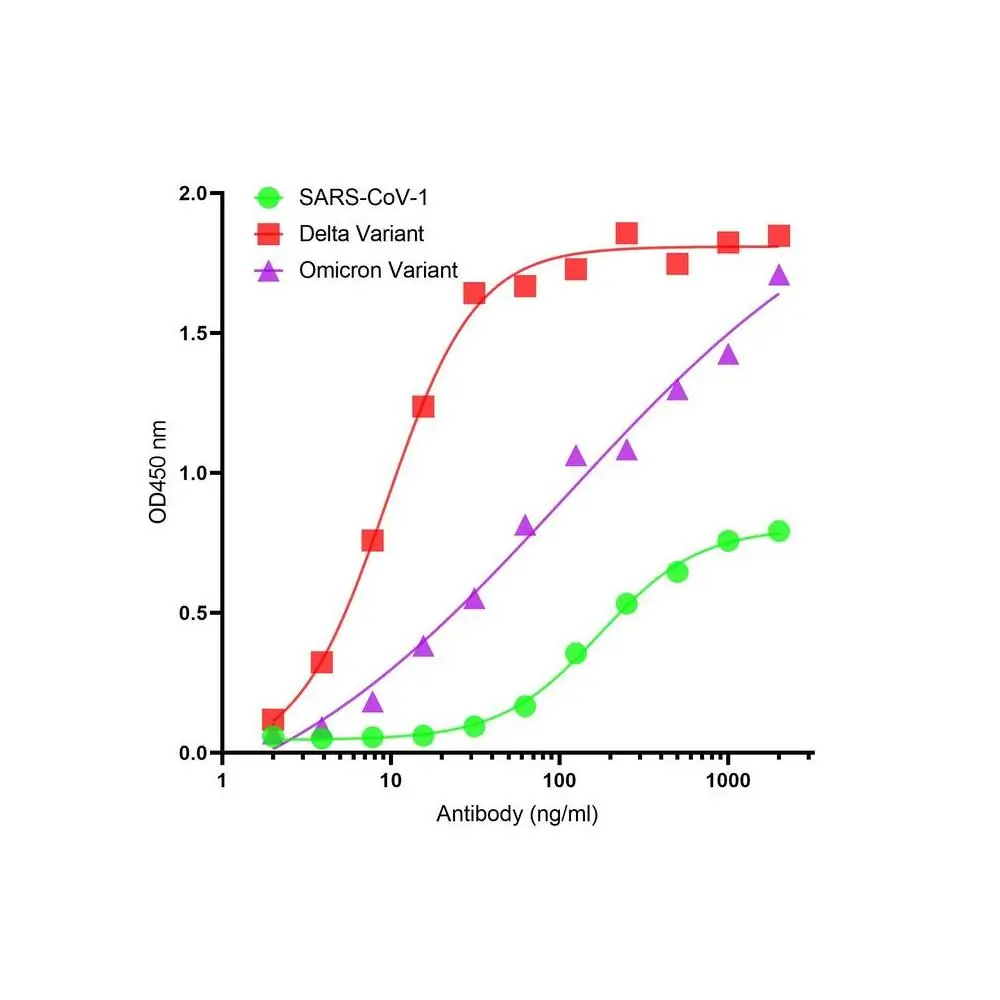 ProSci SD9787_S SARS-CoV-2 (COVID-19) Spike S2 Single Domain Antibody [P1B8], ProSci, 0.02 mg/Unit Primary Image