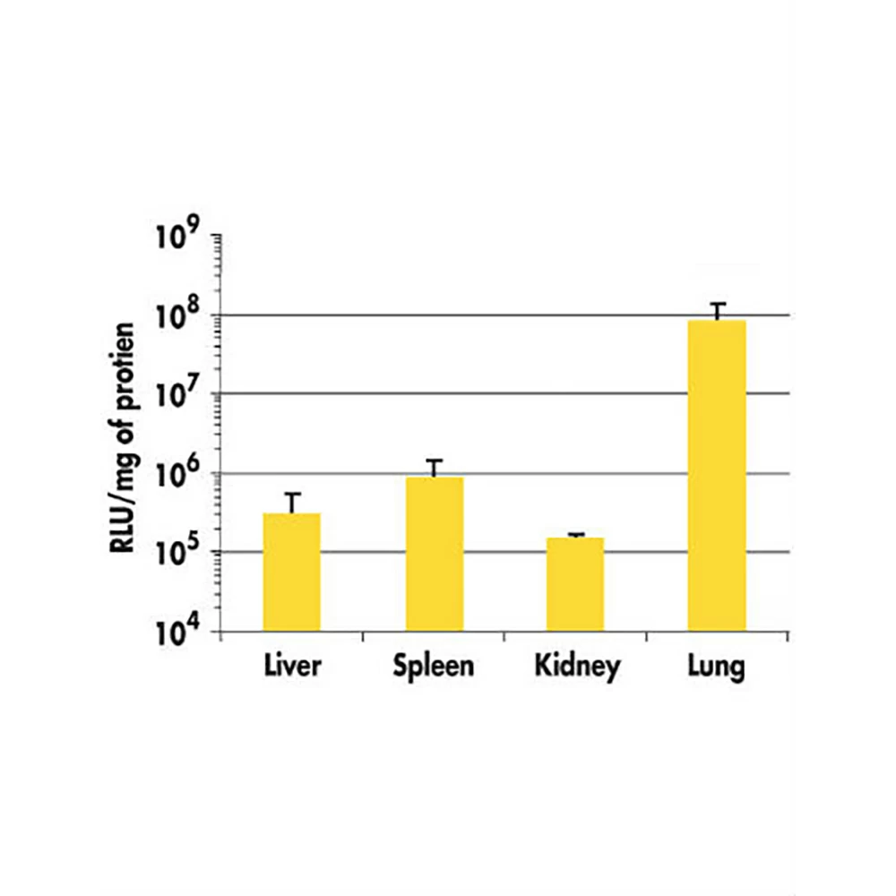 Polyplus-transfection 101000030 in vivo-jetPEI