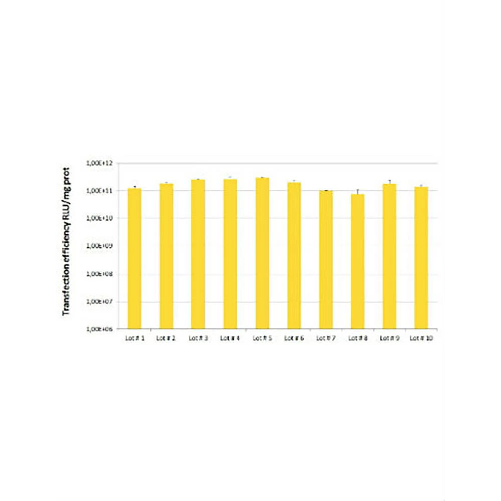 Polyplus-transfection 101000020 jetPEI