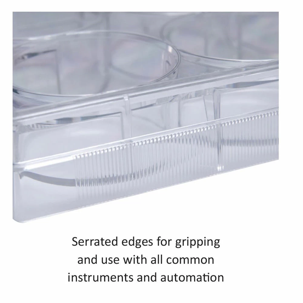 GenClone 25-108MP,  Sterile, Flat Bottom Wells, 5 per Sleeve, 100 Plates/Unit quaternary image